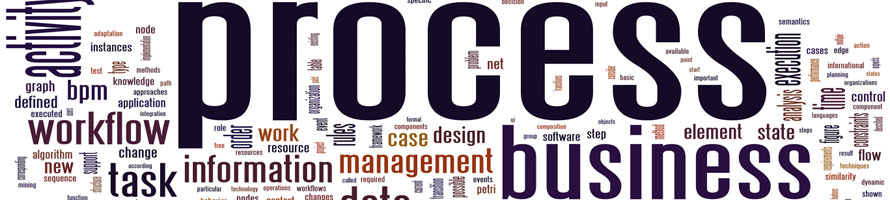 Carlo D'Amico - business process solutions